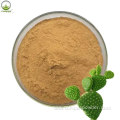 Natural Cactus Extract/Opuntia Extract/Cholla Stem Extract